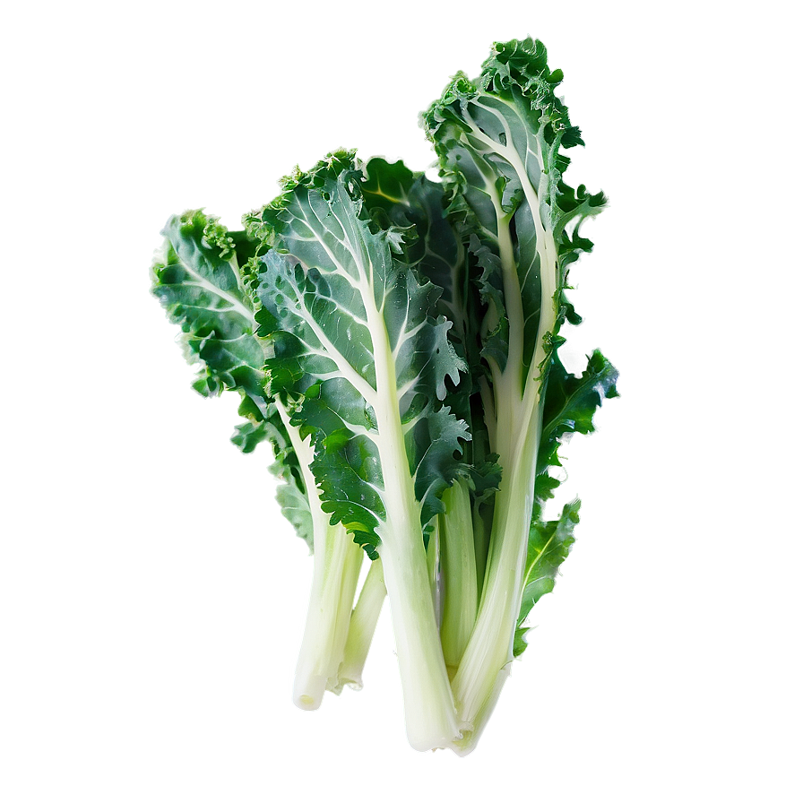 Organic Kale Leaves Bundle Png Eai17 PNG