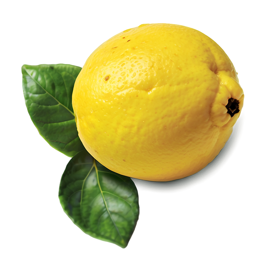 Download Organic Lemon Png 58 | Wallpapers.com