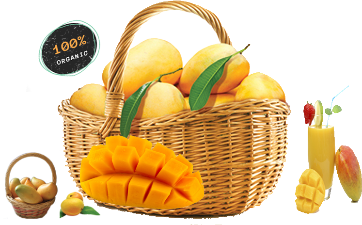 Organic Mango Basket Presentation PNG