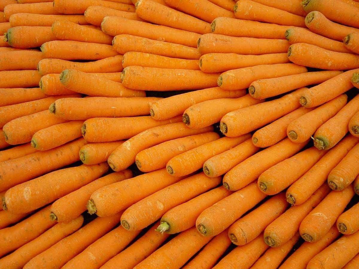 Økologisk orange gulerødder rod grøntsager uden stilke mønster Wallpaper