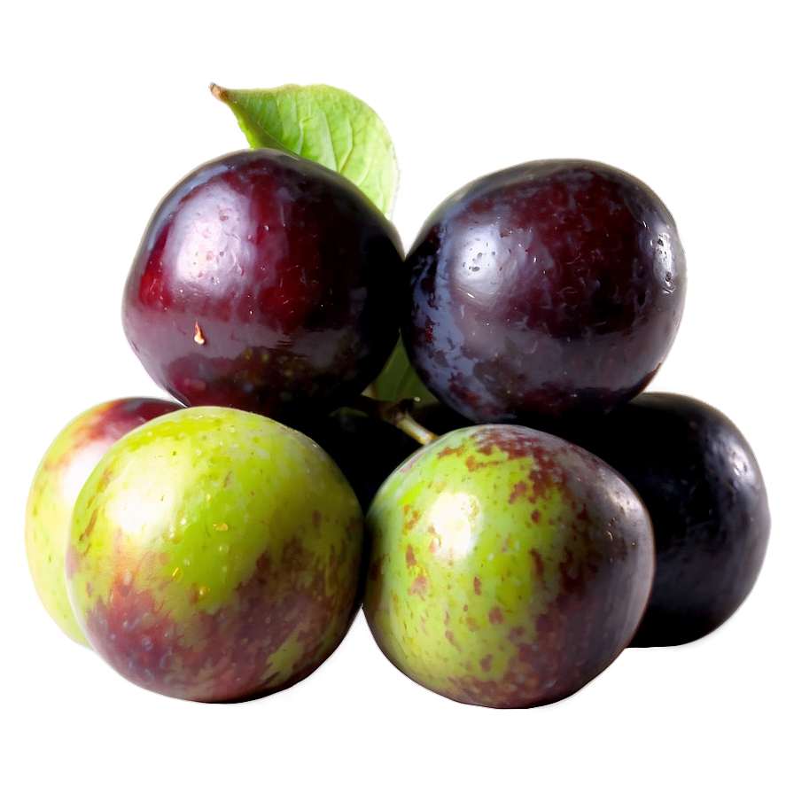 Download Organic Plum Picture Png 73 | Wallpapers.com