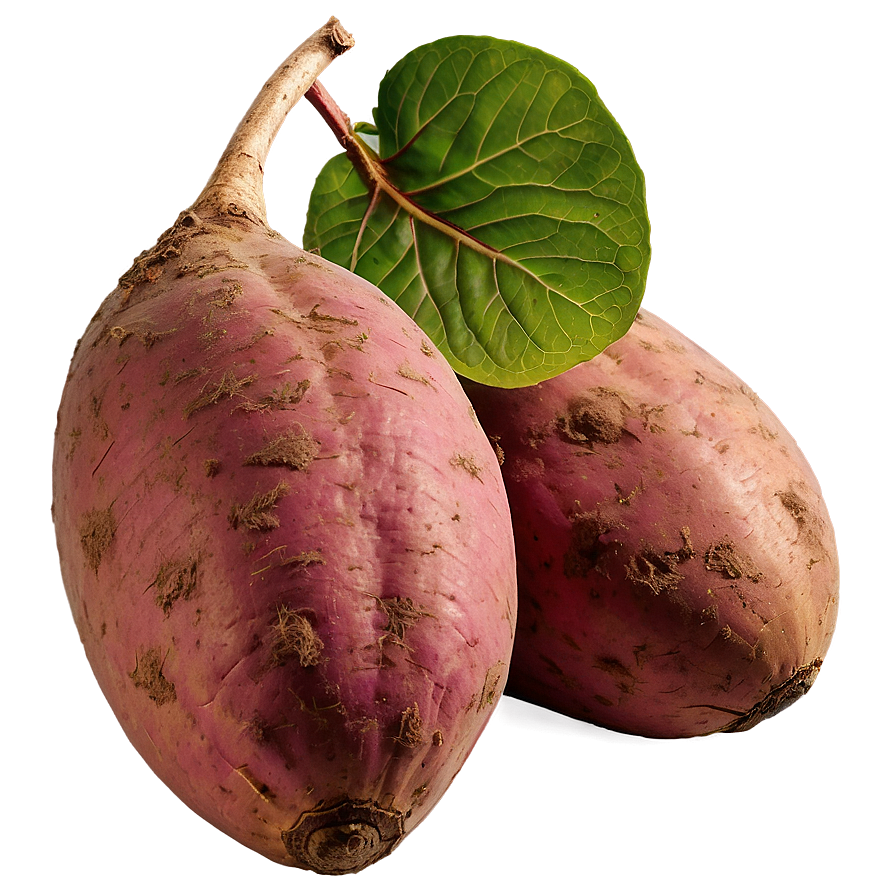 Organic Sweet Potato Png 99 PNG