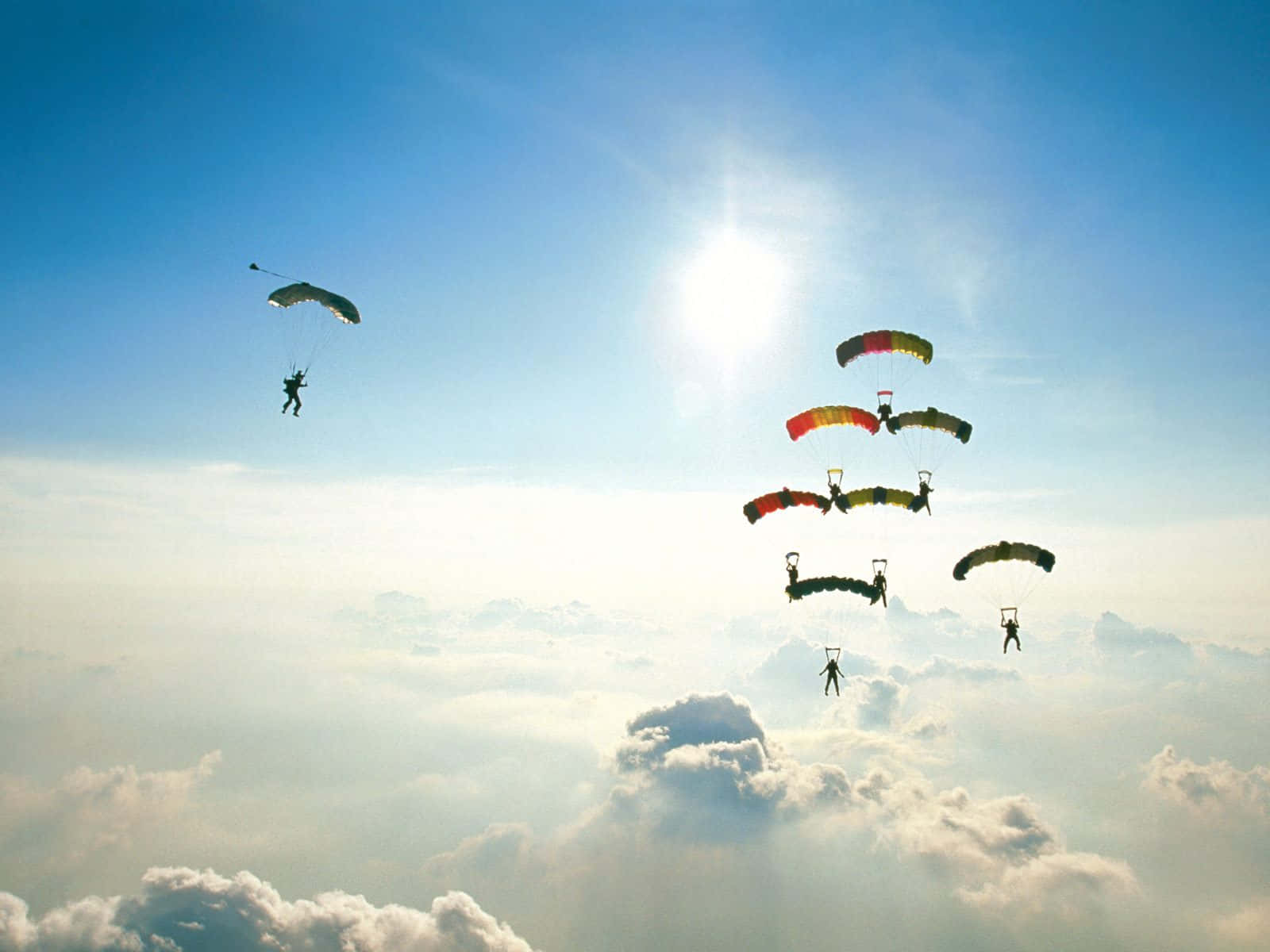 Organized Mass Jump Skydiving Picture
