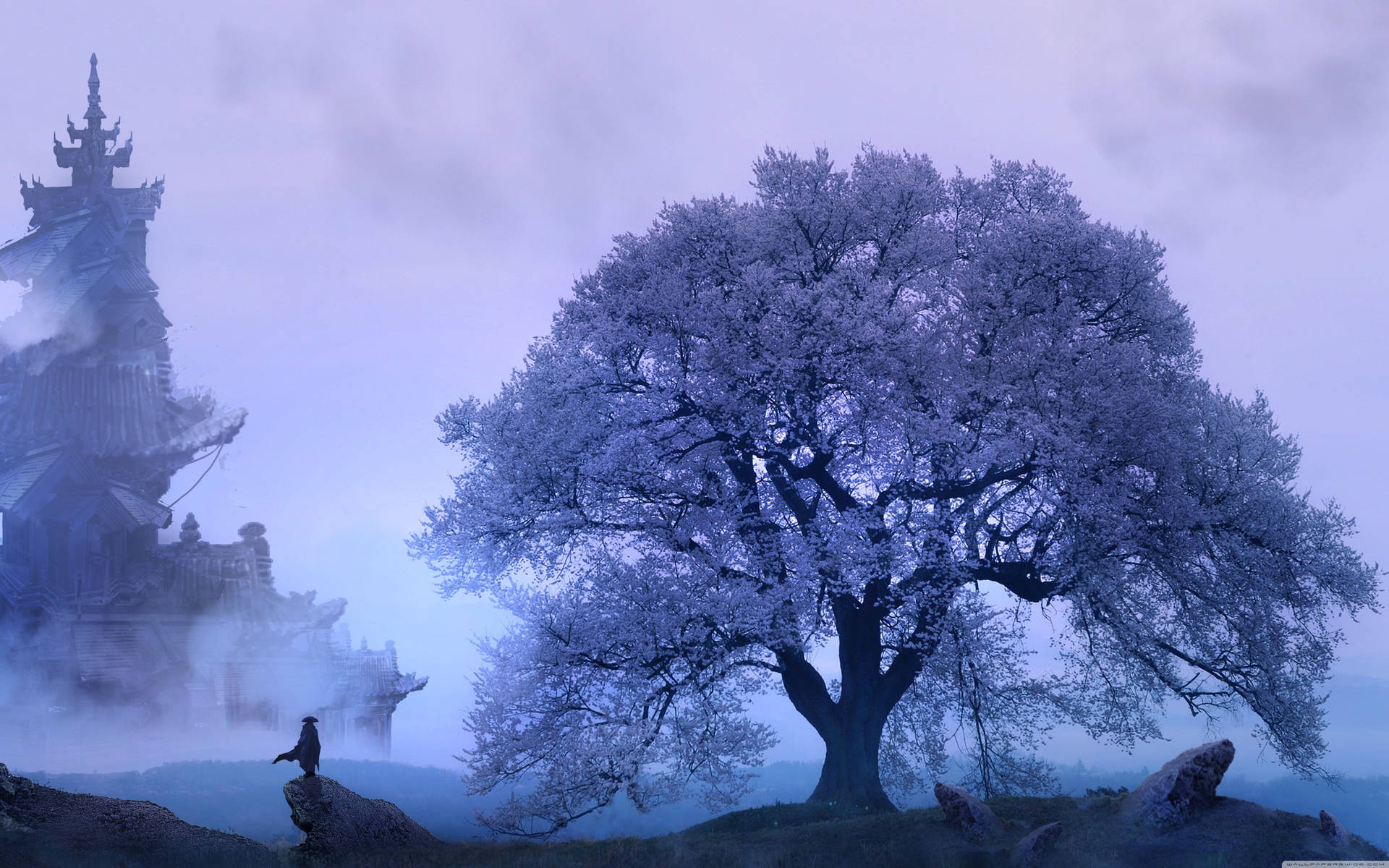 An enchanted tree in a world of Oriental fantasy Wallpaper