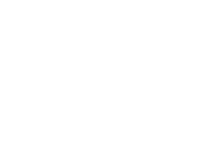 Origami Crane Silhouette PNG