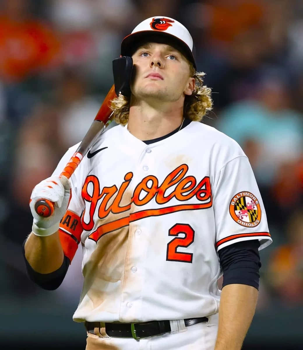 Orioles Player Concentration Wallpaper
