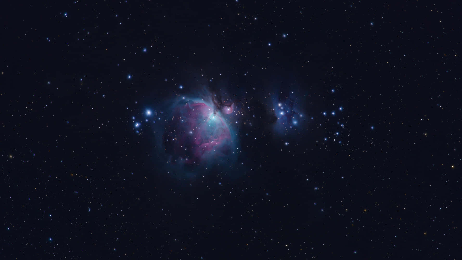 Guardandoverso L'alto Il Cielo Notturno Per Individuare La Costellazione Di Orione