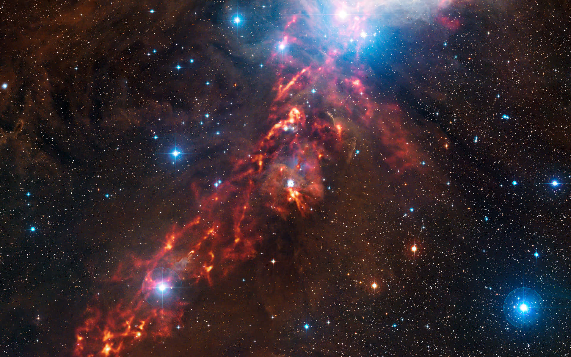 The majestic Orion constellation in a star-filled night sky