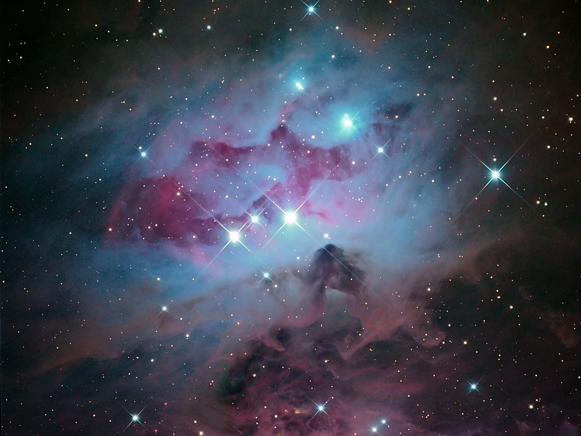 Stargazing in the Orion Constellation