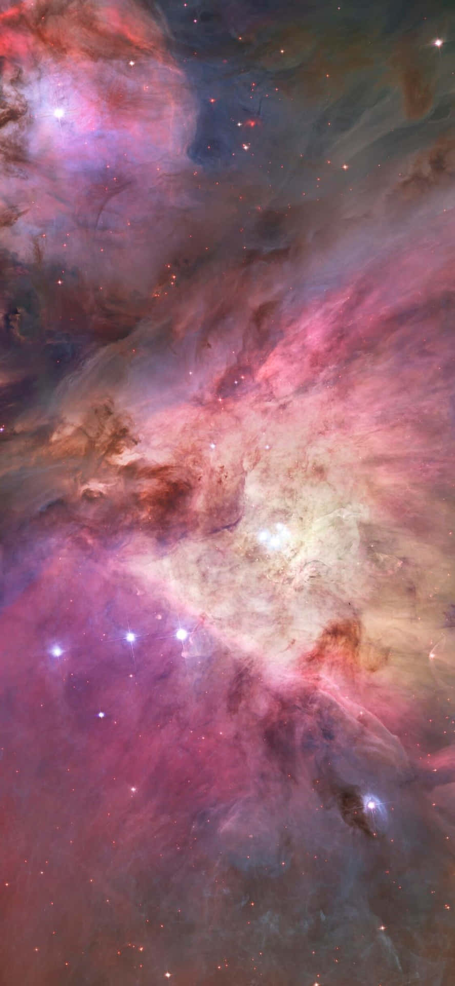 Dasatemberaubende Orion- Sternbild Vor Einem Meer Von Sternen.