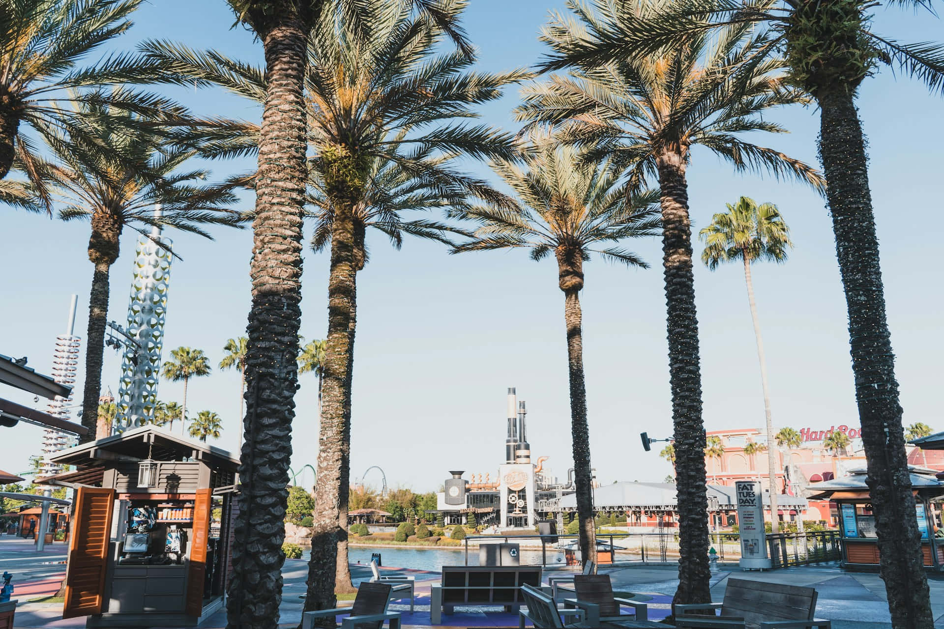 Orlando Universal City Walk Palm Trees Wallpaper