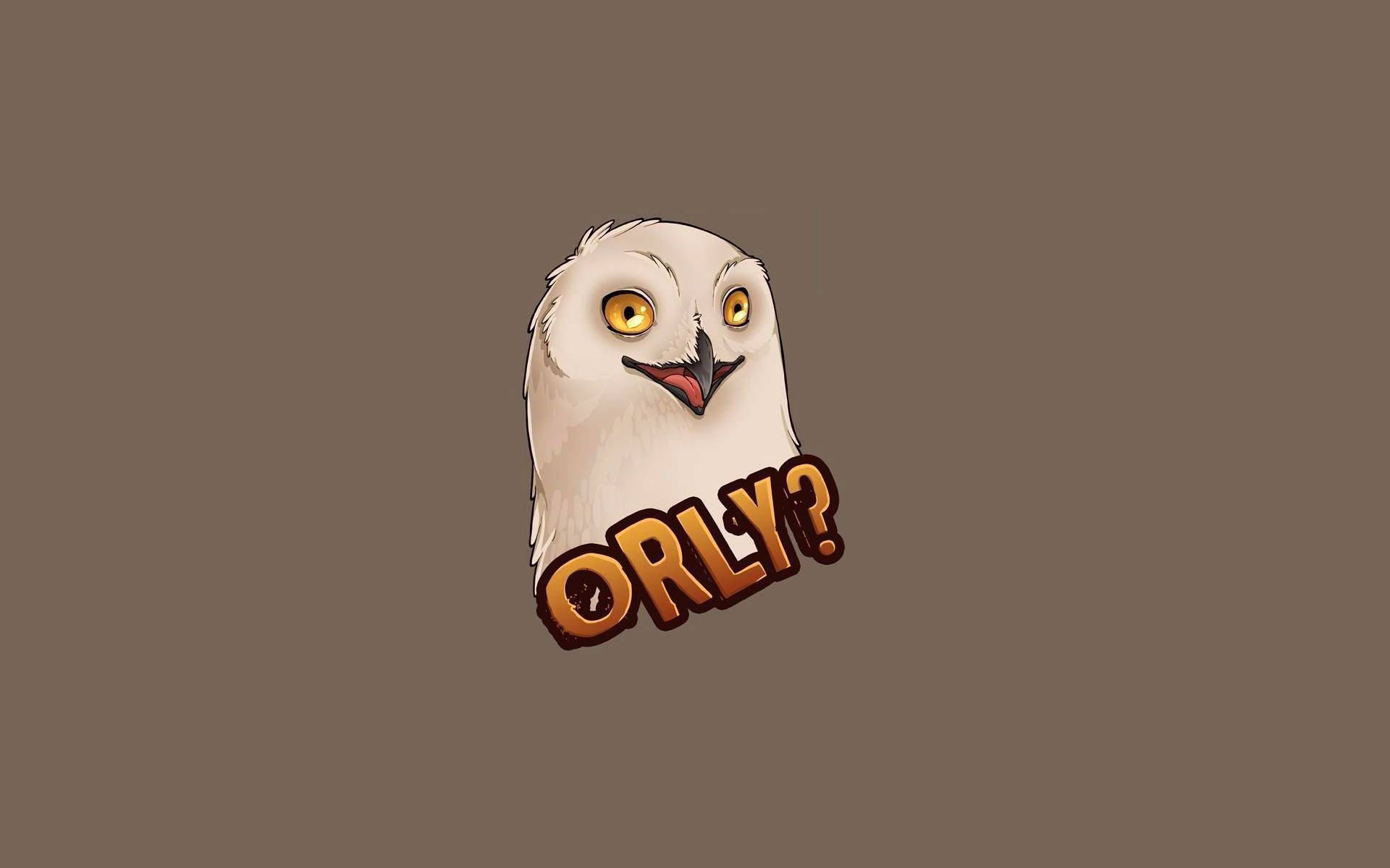 Orly Owl Sjov Meme Wallpaper