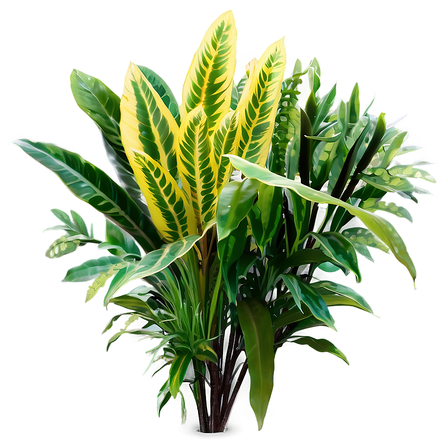 Download Ornamental Plants Png Mwu | Wallpapers.com