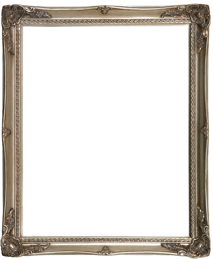 Ornate Empty Picture Frame PNG