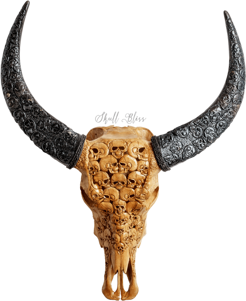 Ornate Goat Skullwith Carved Horns PNG