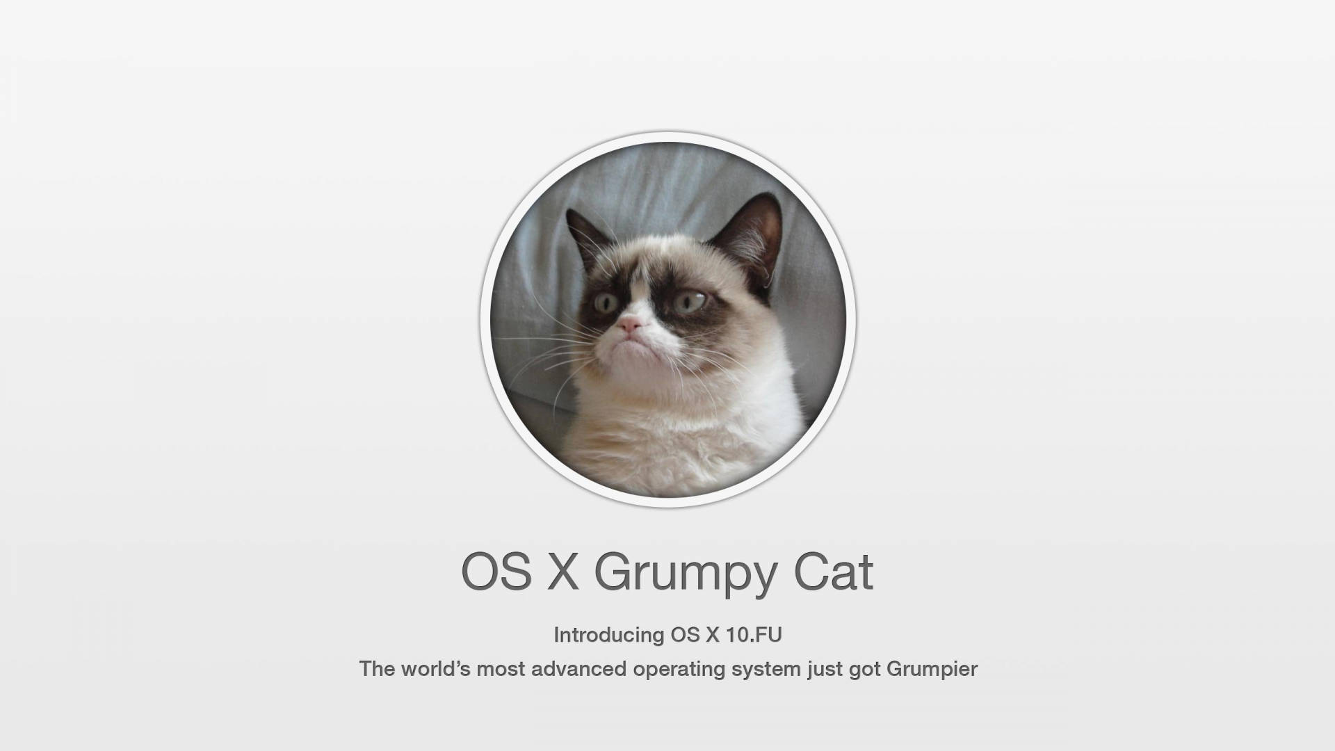 Os X Grumpy Cat Meme