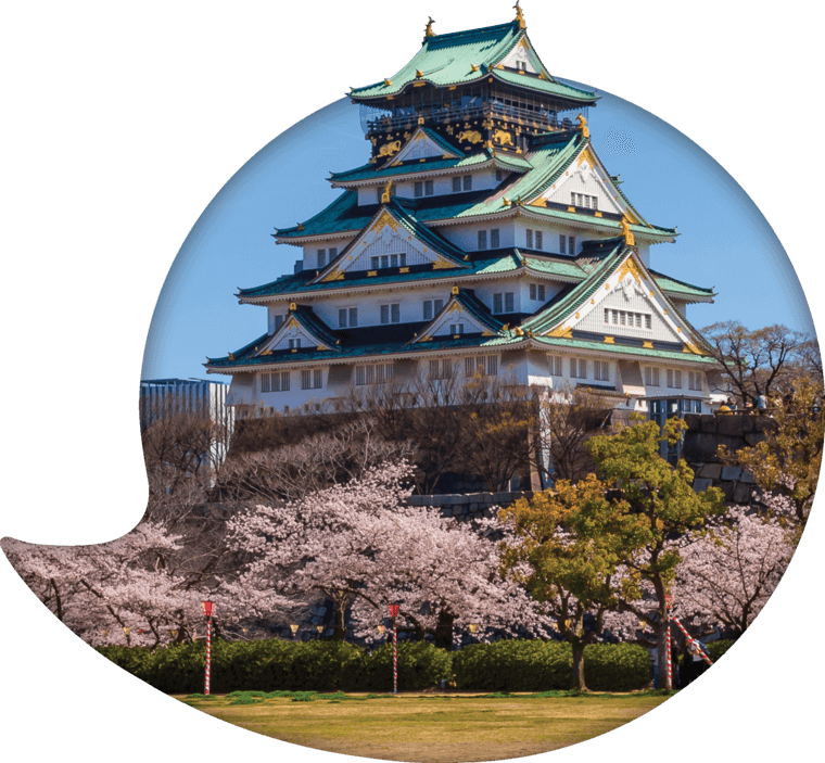 Osaka Castle Cherry Blossoms PNG