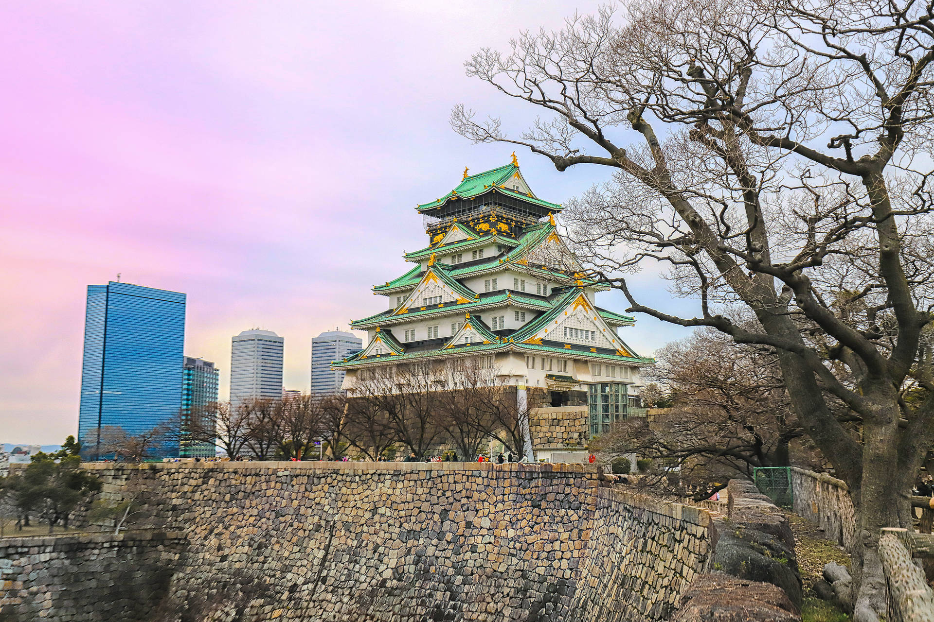 Osaka Castle Cityscape