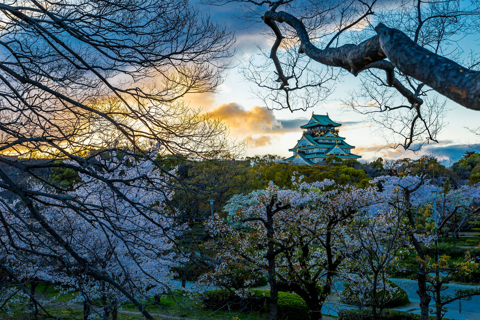 Osaka Castle Picturesque View