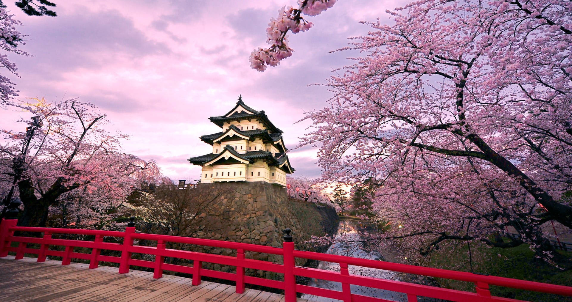 Osaka Castle Pink Sky