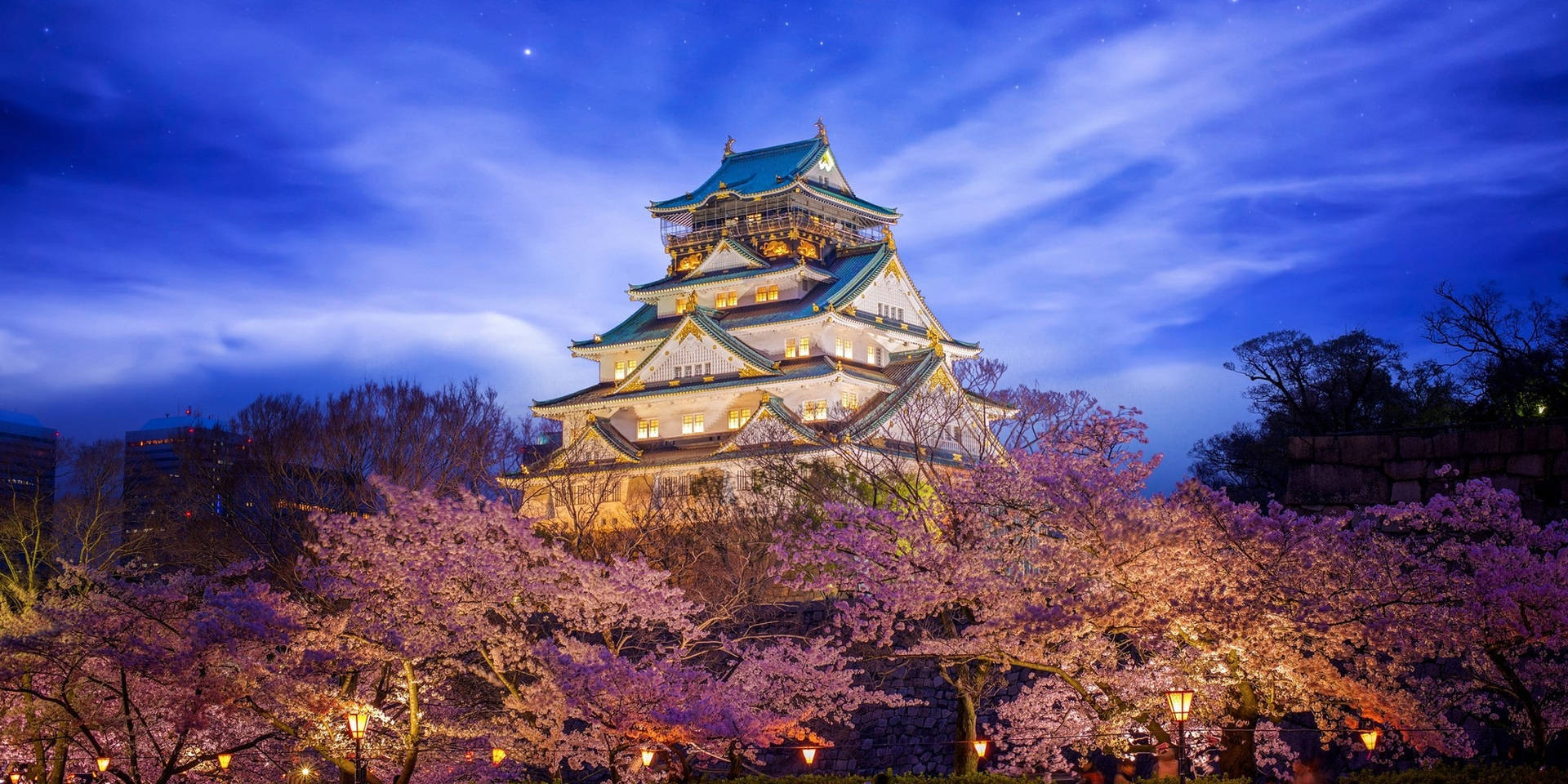 Osaka Castle With Cherry Blossoms