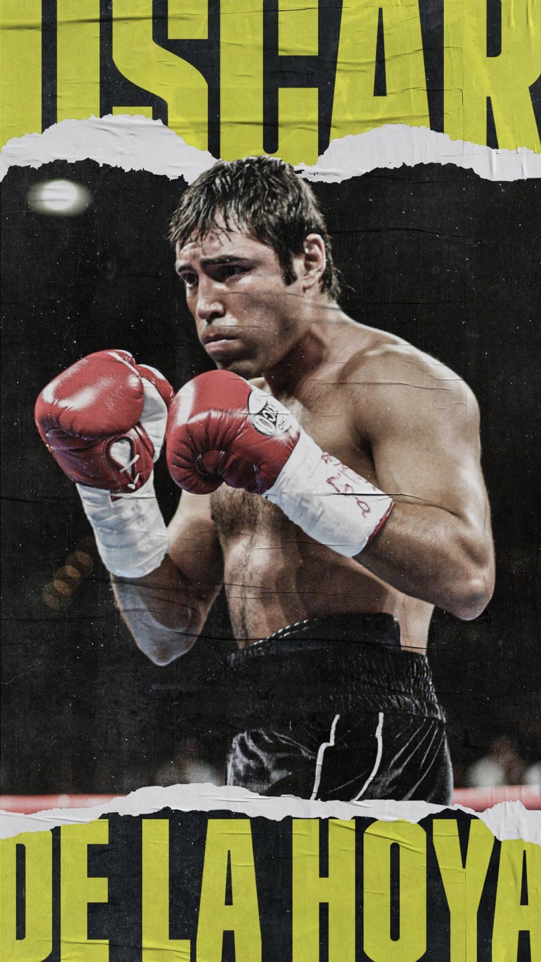 Oscar De La Hoya Poster Wallpaper