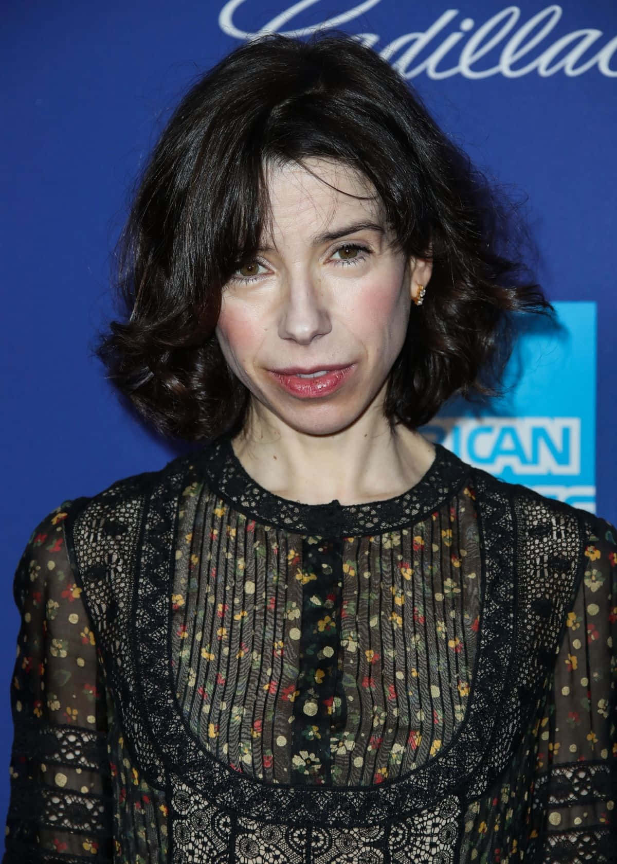 Oscar-nominated Actress Sally Hawkins On The Red Carpet. Wallpaper