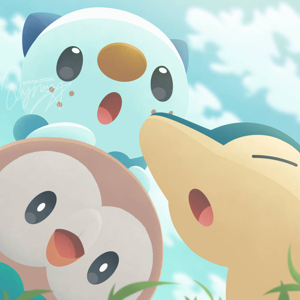Pokemon Rowlet Wallpapers  Top Free Pokemon Rowlet Backgrounds   WallpaperAccess
