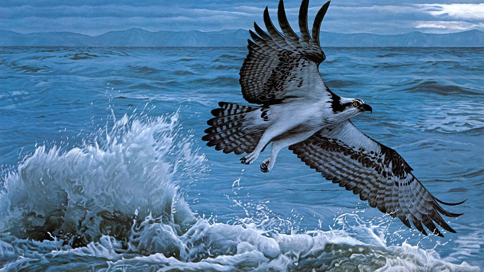 Osprey In Flight Over Ocean Wallpaper