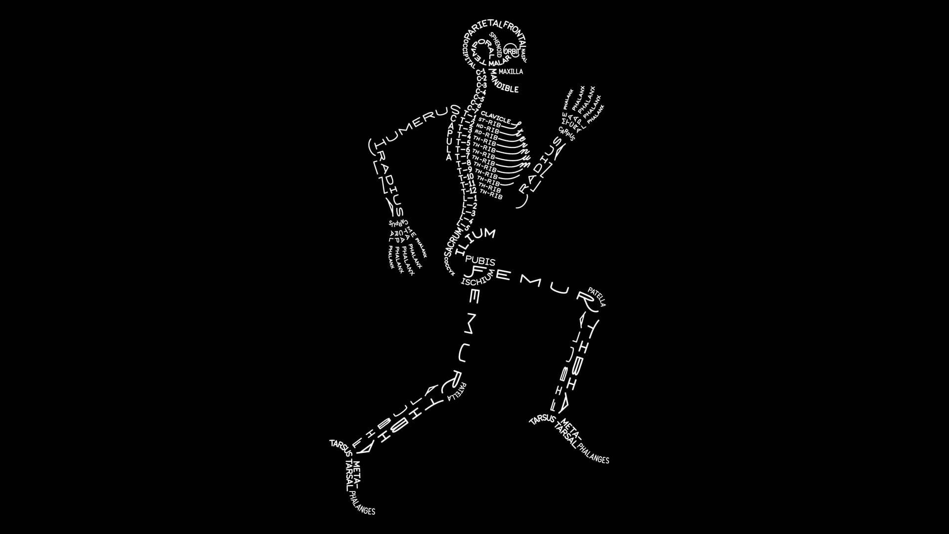 Osteology Skeleton Desktop Background