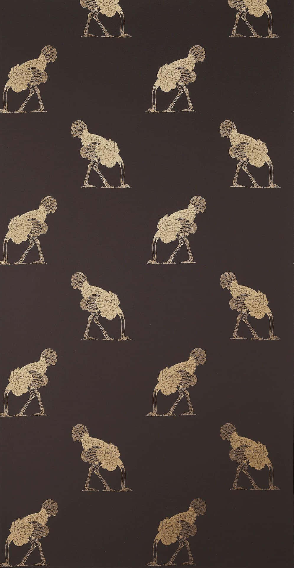 Ostrich Motion Sequence Pattern Wallpaper
