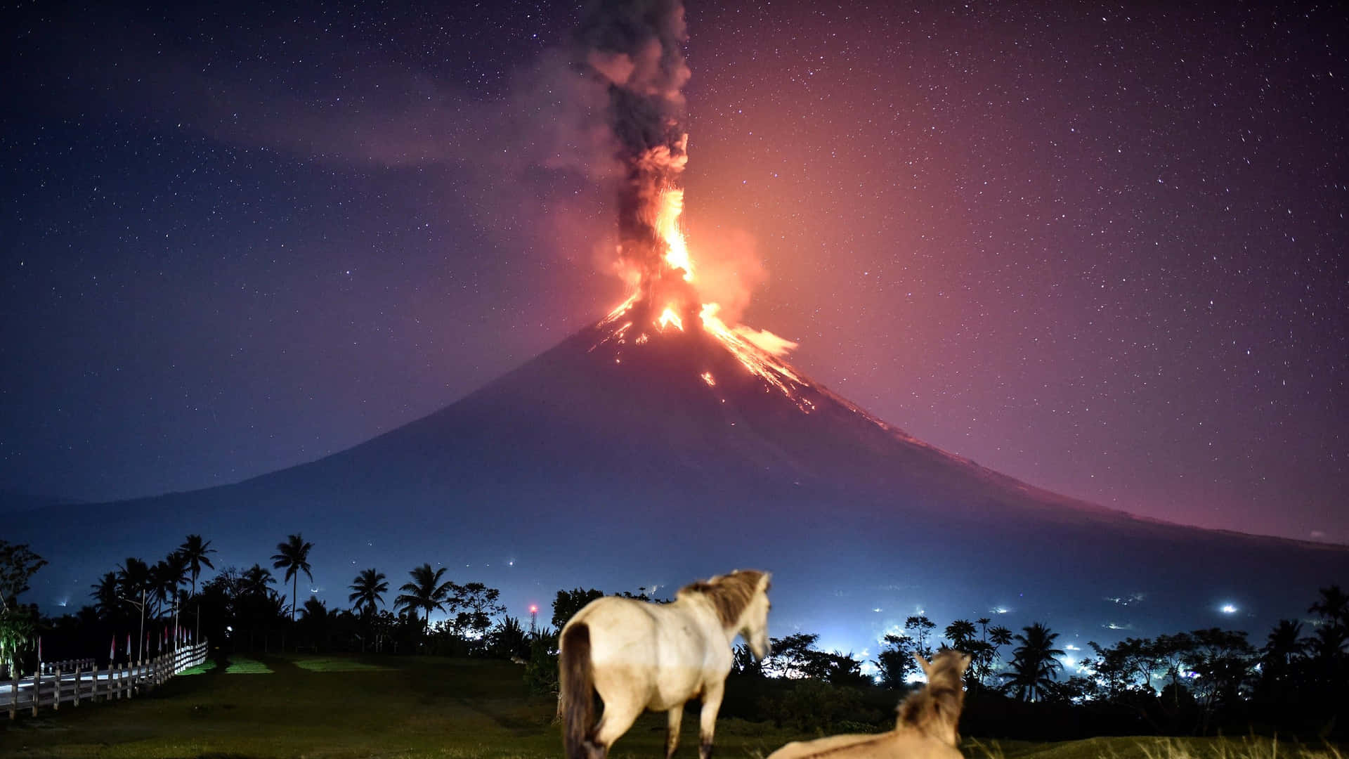 Самые невероятные мгновения National Geographic