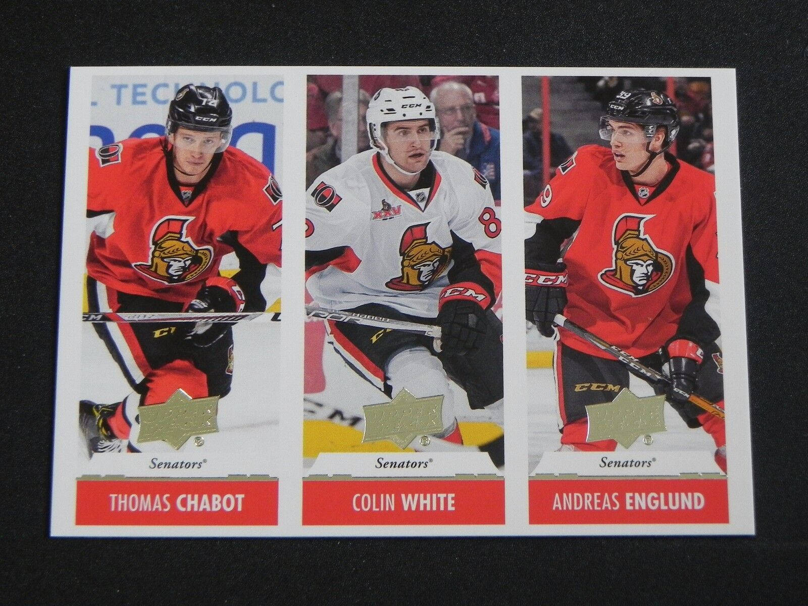 Jugadoresde Los Ottawa Senators: Thomas Chabot. Fondo de pantalla