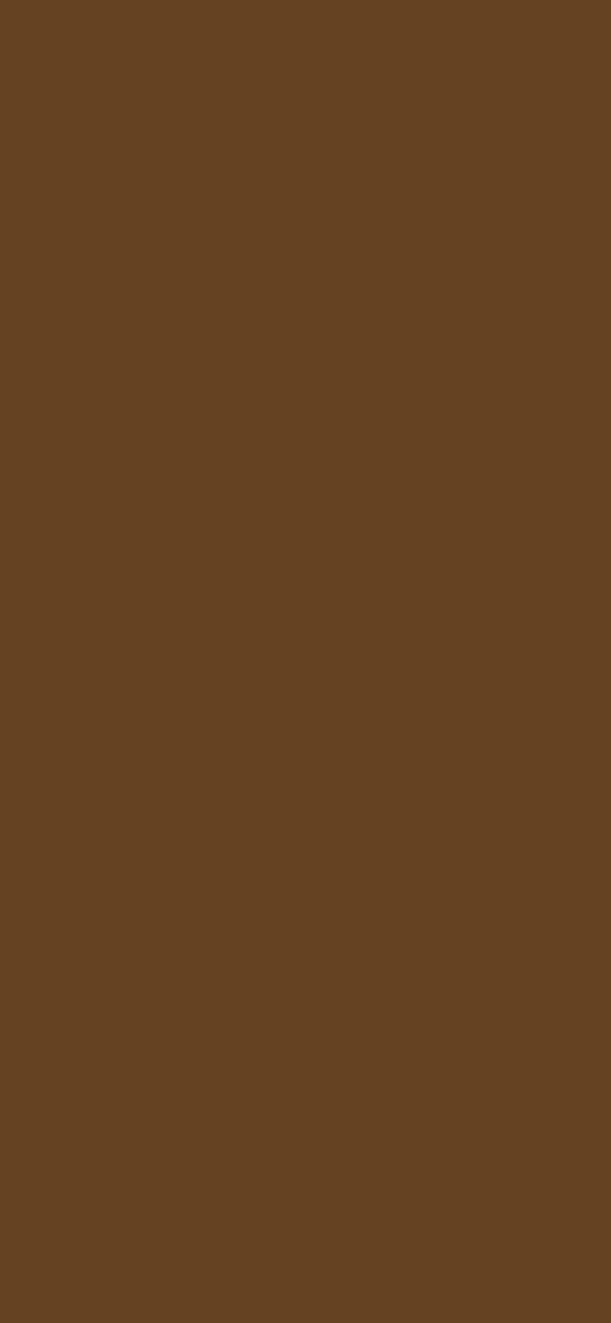 Otter Brown Solid Color Background