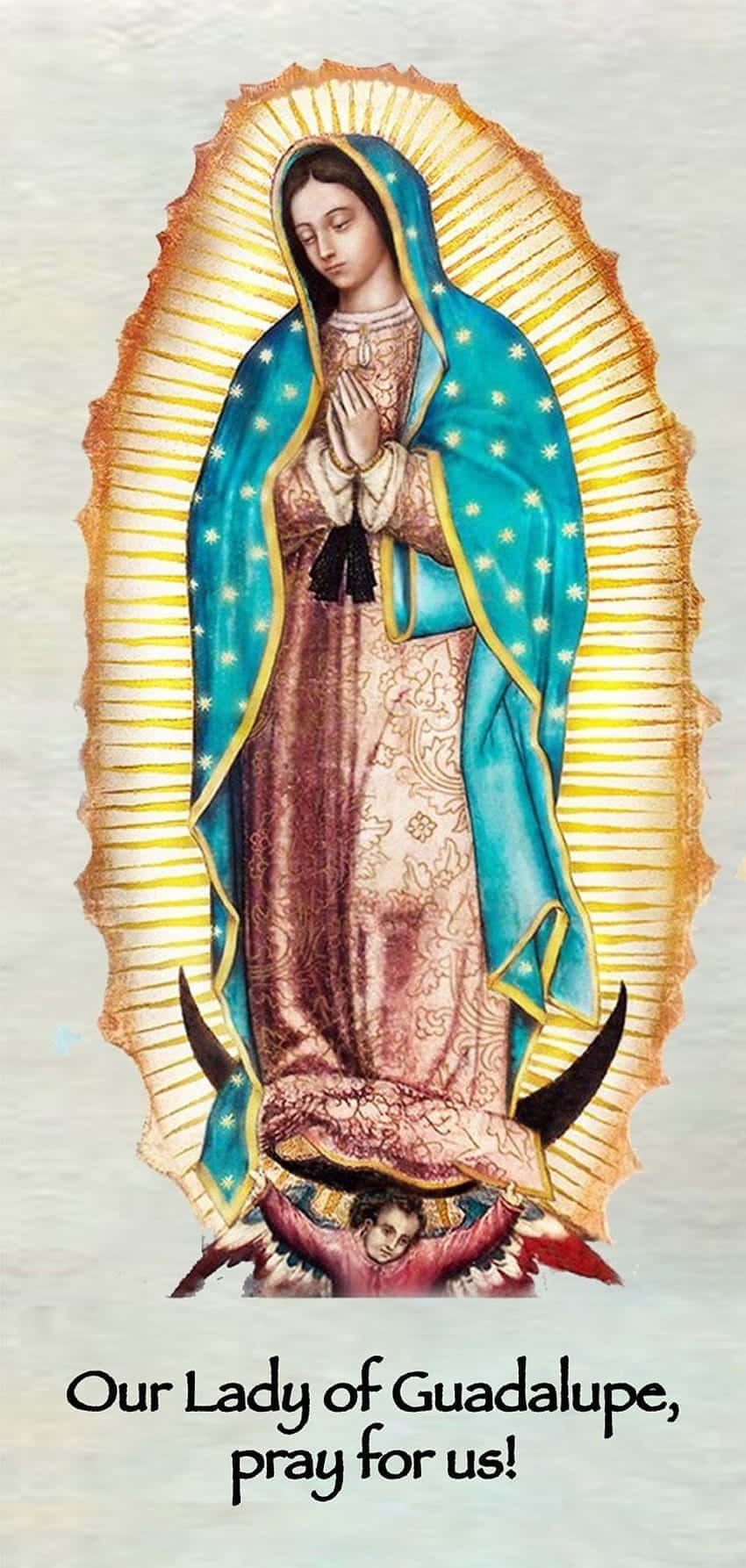 Our Ladyof Guadalupe Prayer Wallpaper