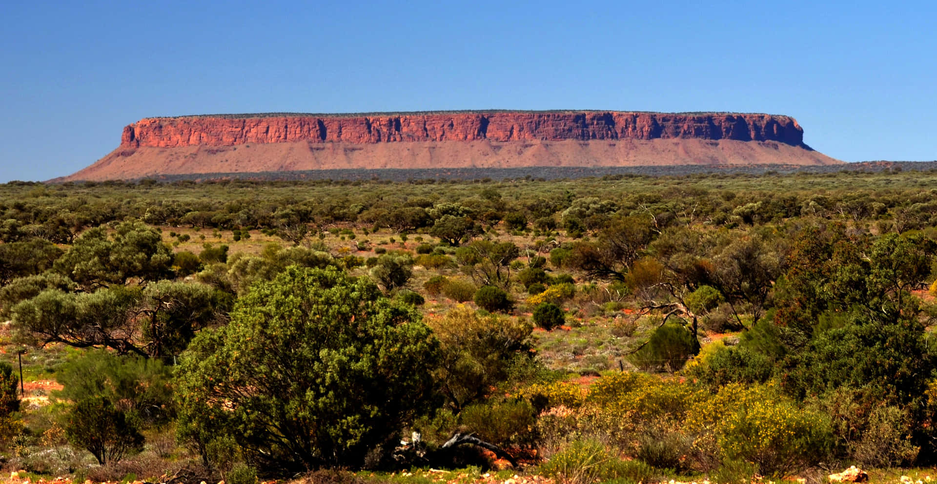 Outback Mesa Landskap Bakgrunnsbildet