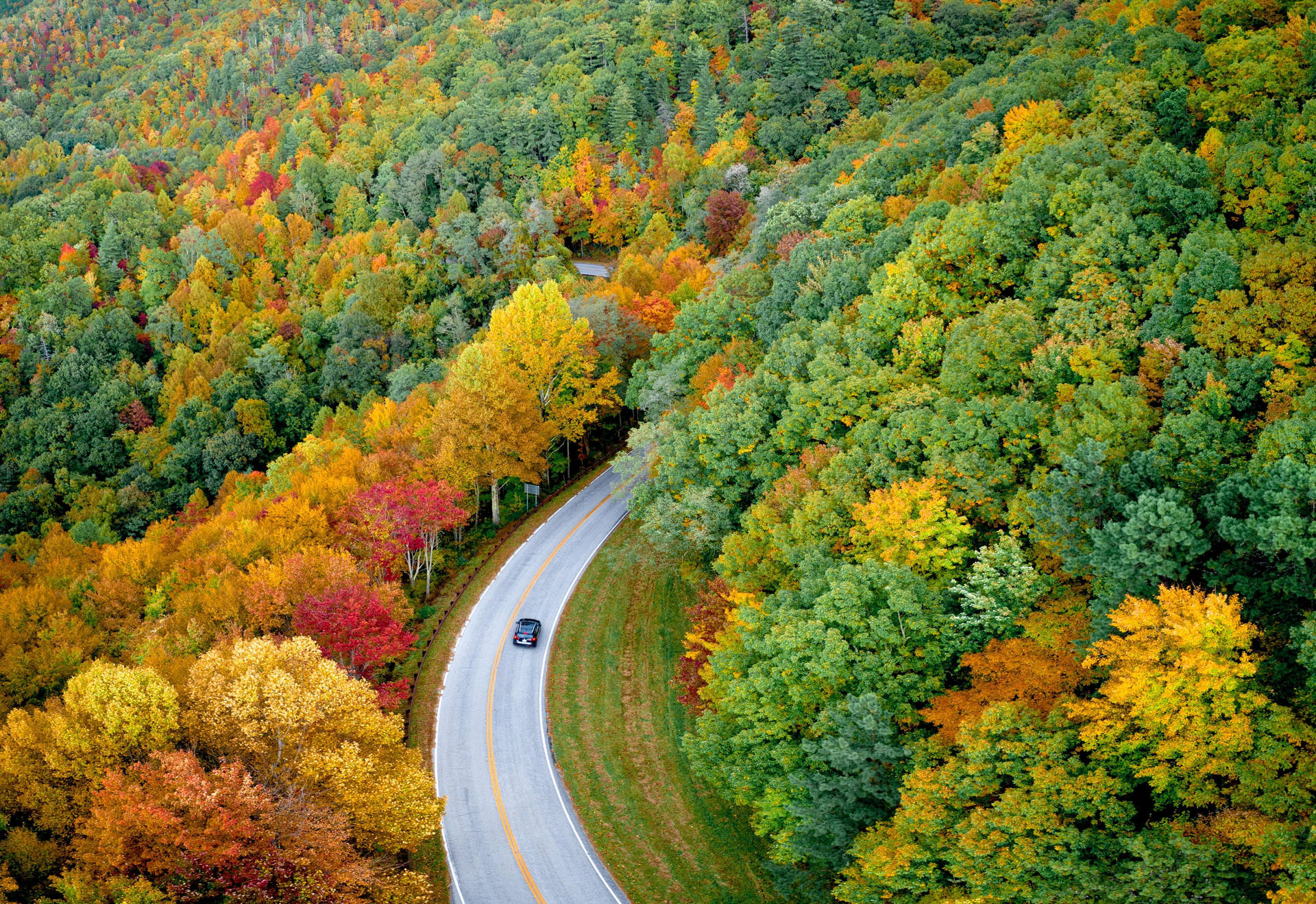 Outdoor Autumn Forest Road Wallpaper