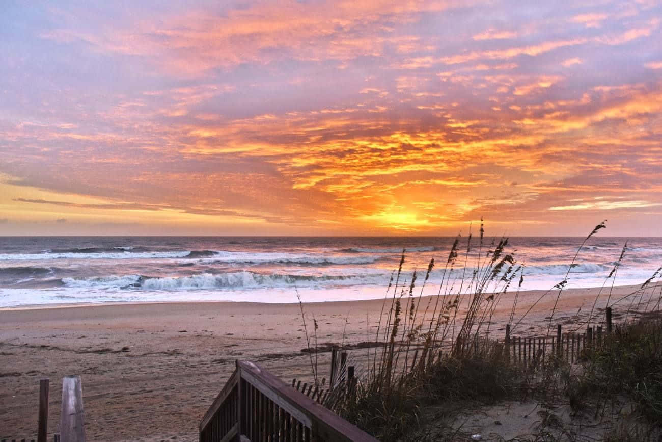 Experience the Exhilarating Views of the Outer Banks Coastline
