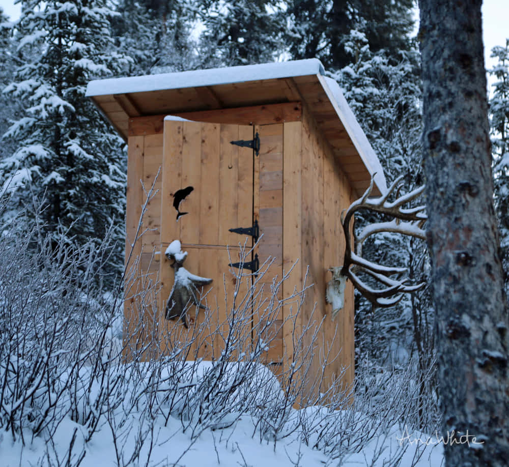 A Wooden Outhouse In The Woods
