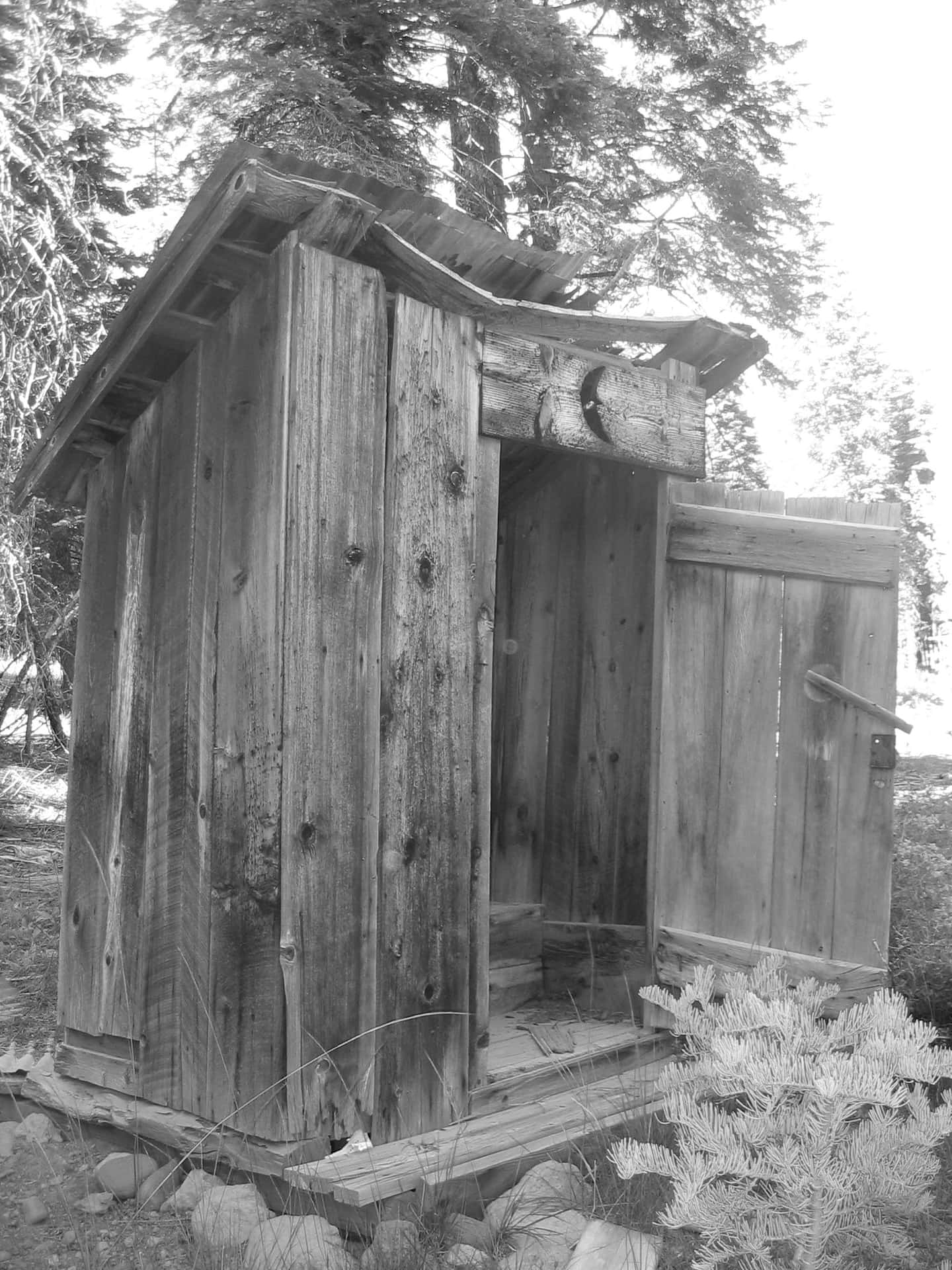 Untranquillo Outhouse Immerso In Una Campagna Rurale