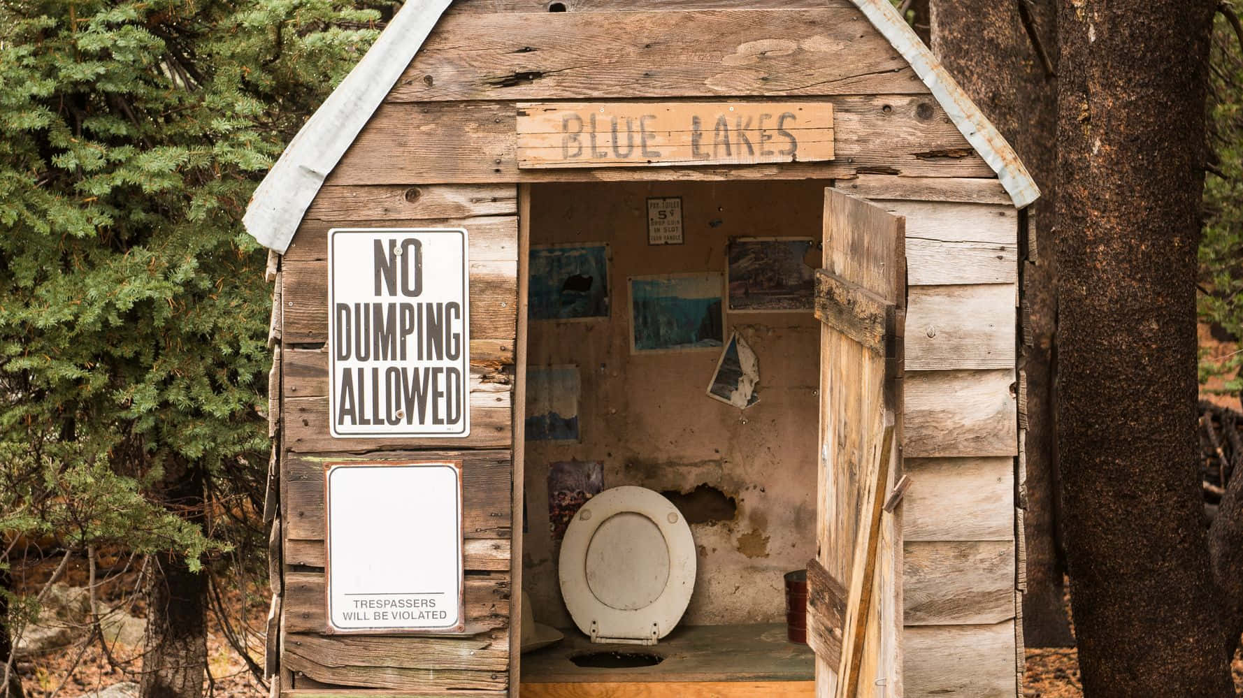 Uncover the Remote, Rustic Beauty of an Outhouse