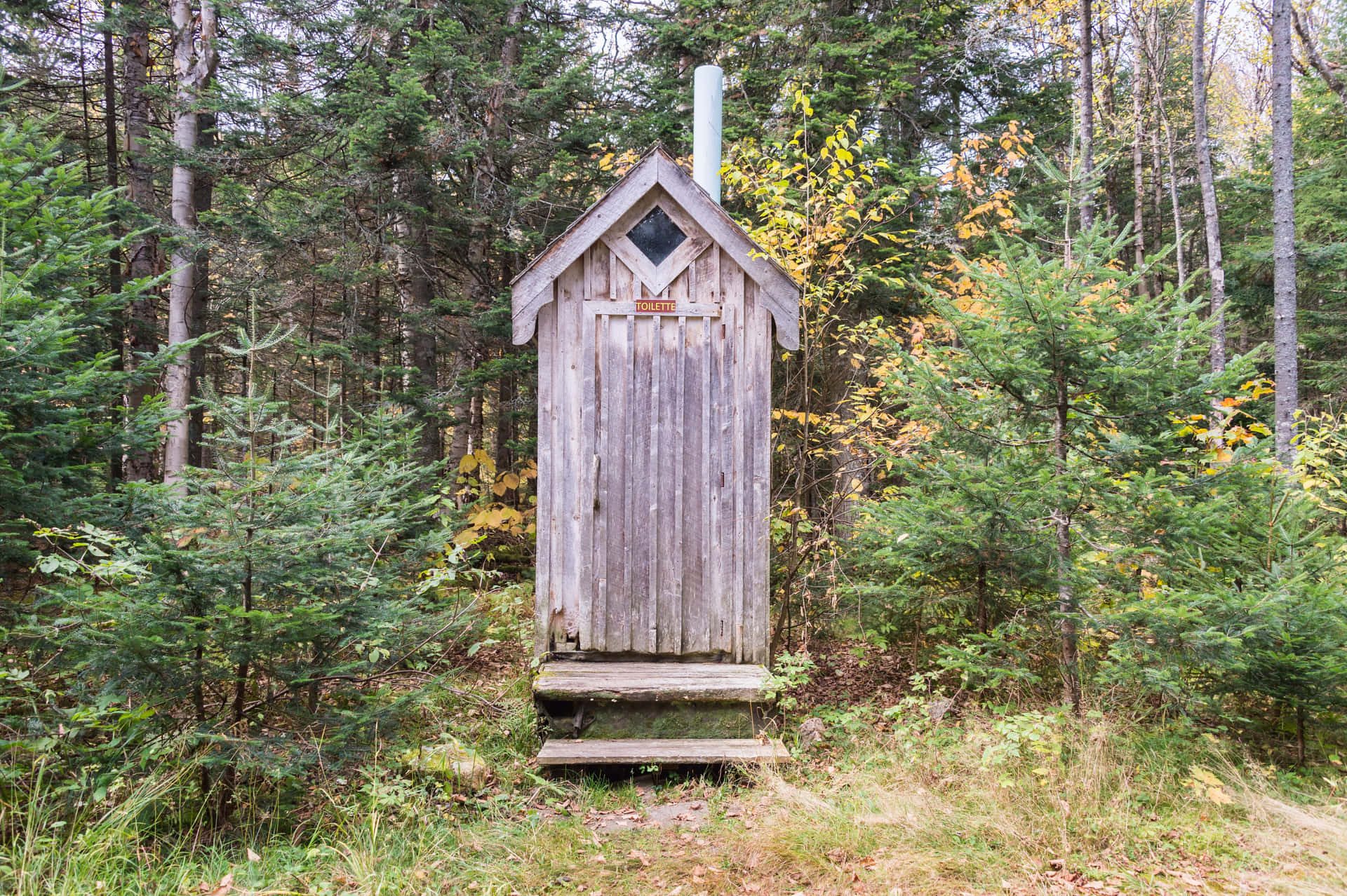 A Wooden Outhouse In The Woods