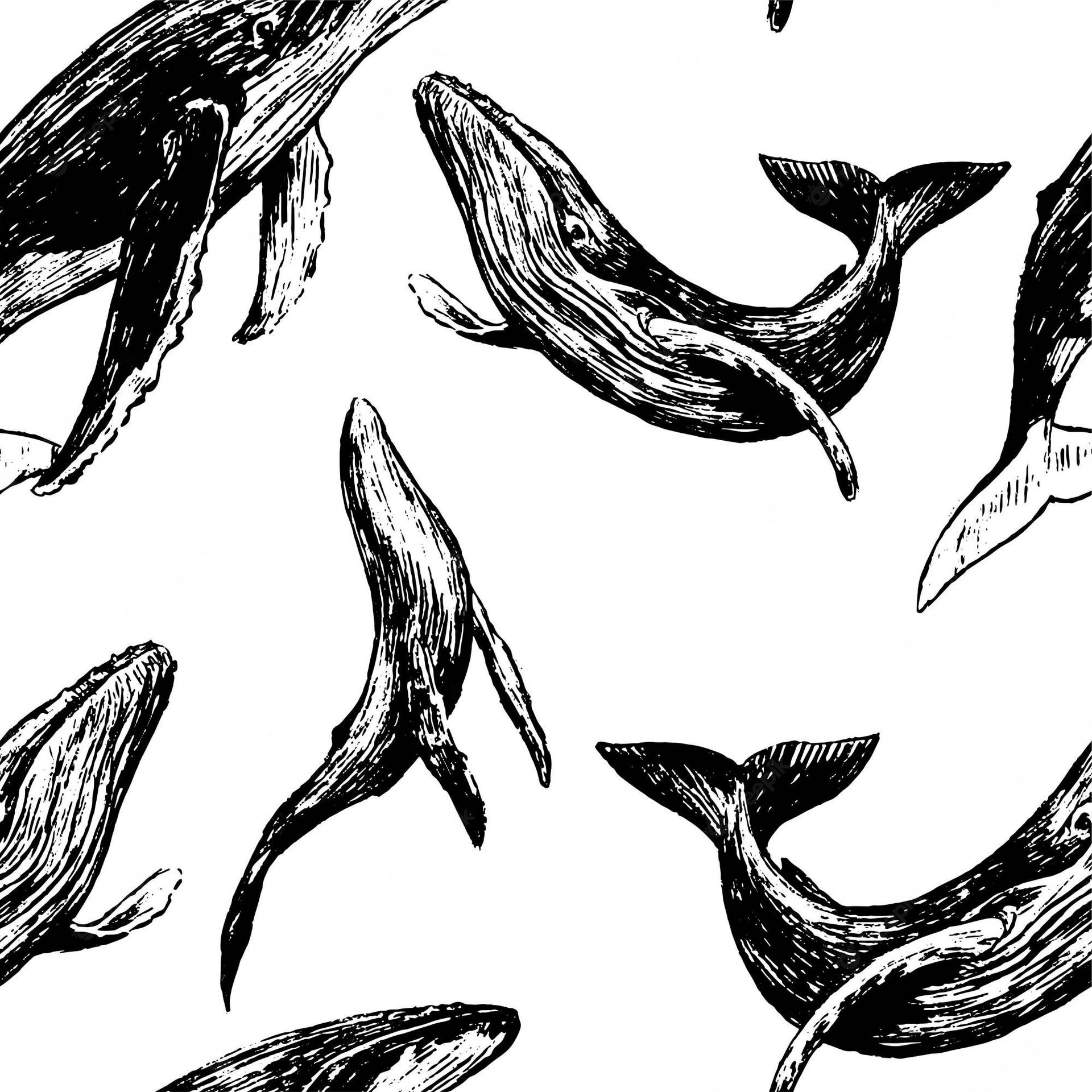 Hvaler i havet ubrudt mønster Wallpaper