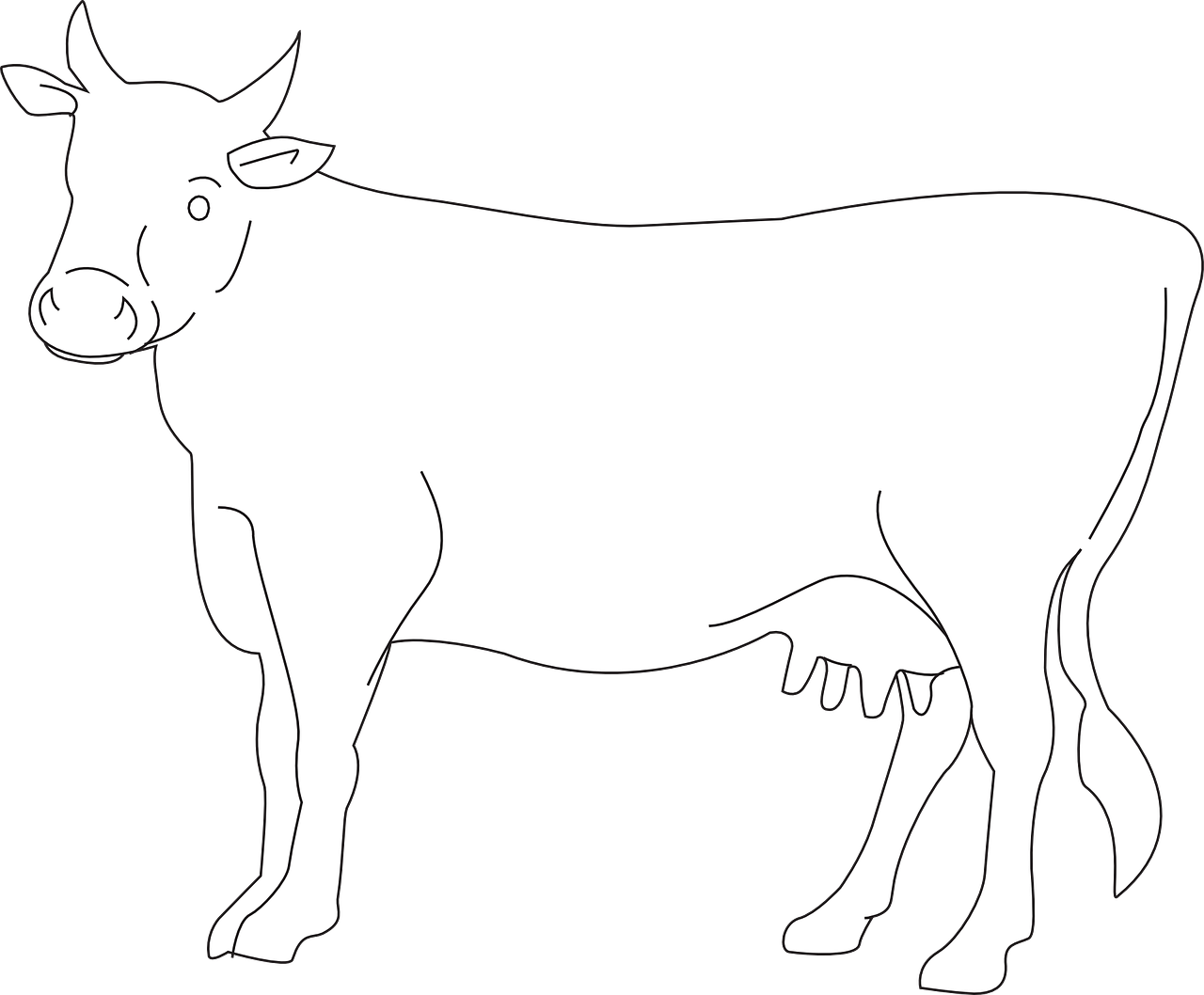 Outlined Dairy Cow Illustration PNG
