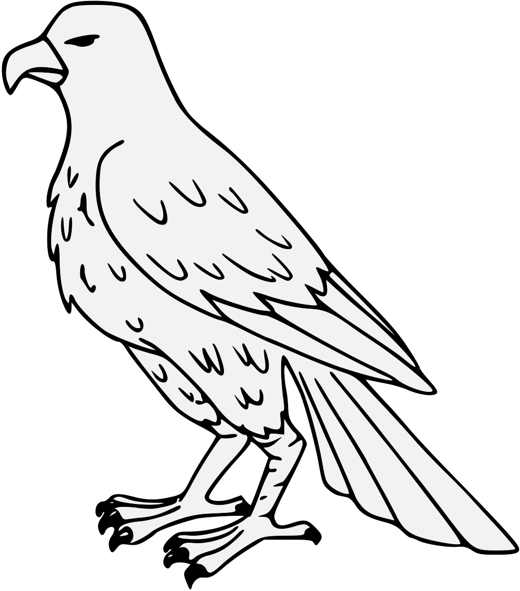 Outlined Falcon Illustration PNG