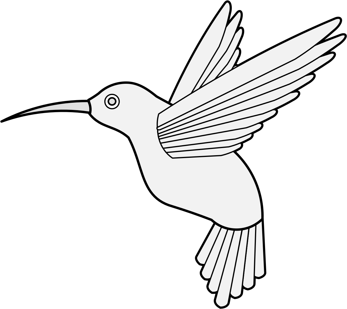 Outlined Hummingbird Illustration PNG