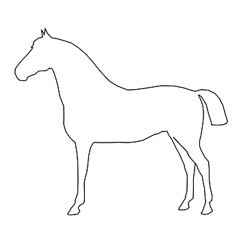Outlineof Standing Horse PNG