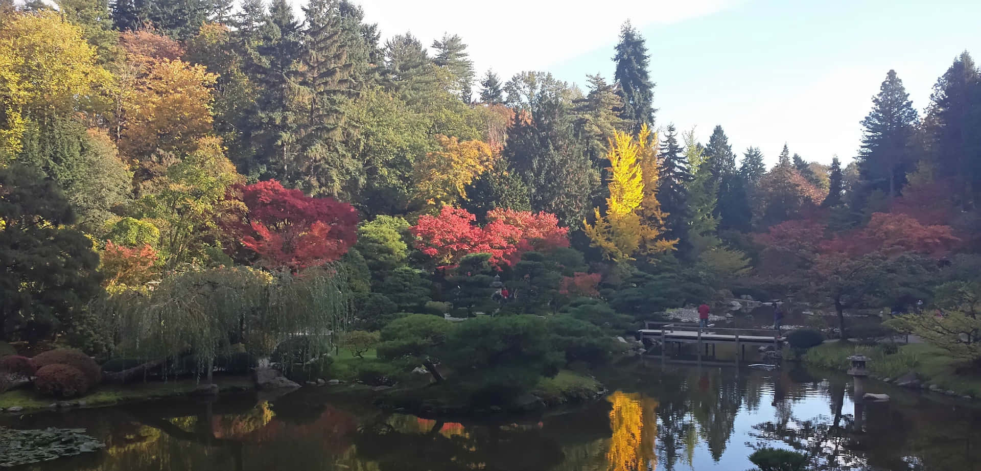Seattle Japanese Garden Outside Background