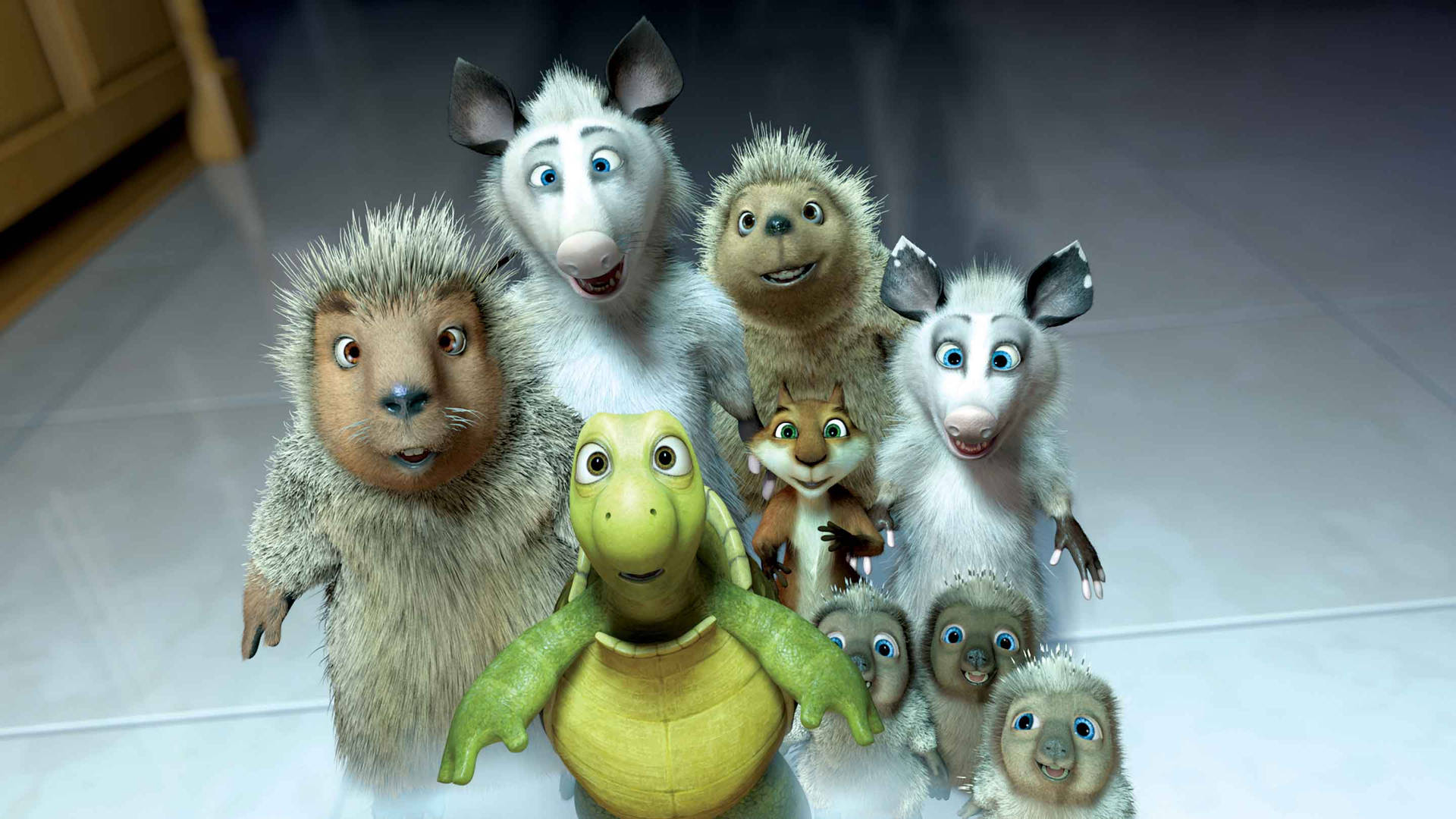 Over The Hedge characters gazing in wonder Wallpaper