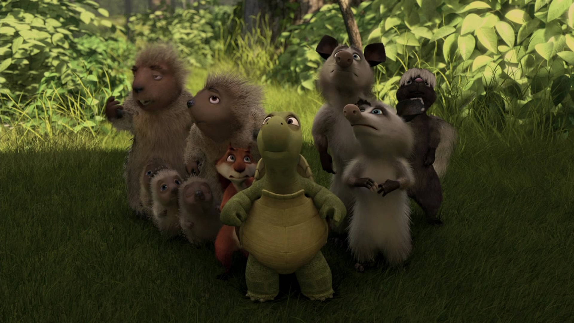 Over The Hedge Characters Wallpaper